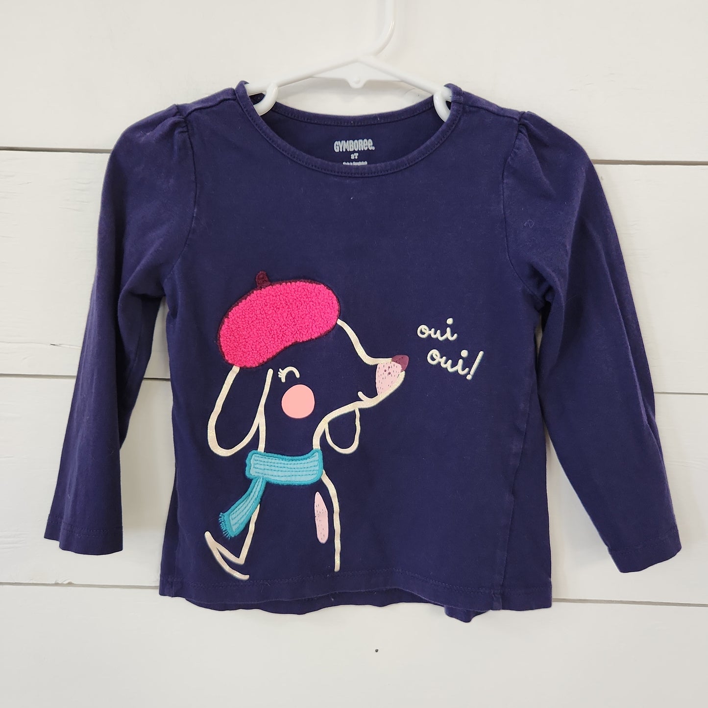Size 2t | Gymboree Shirt | Secondhand