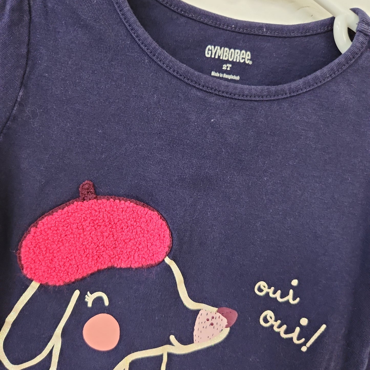 Size 2t | Gymboree Shirt | Secondhand