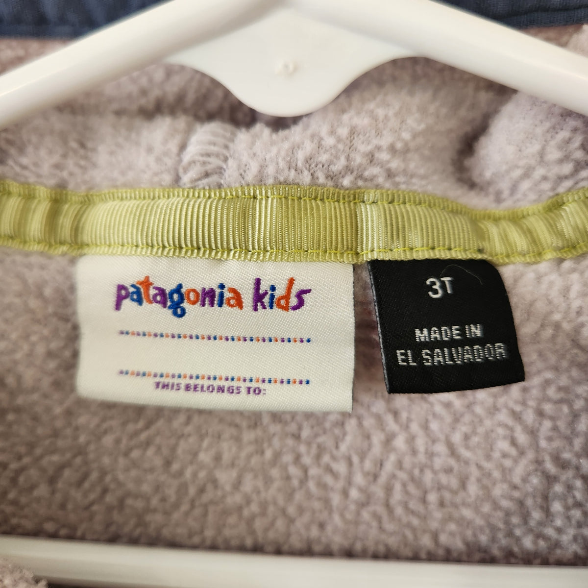 Size 3T | Patagonia Kids Kids' Fleece Hoodie | UBNUU