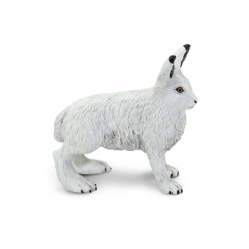 Arctic Hare