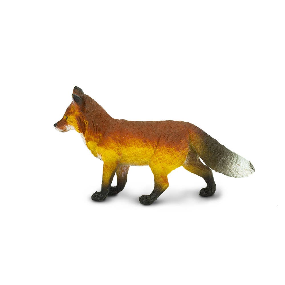 Fox