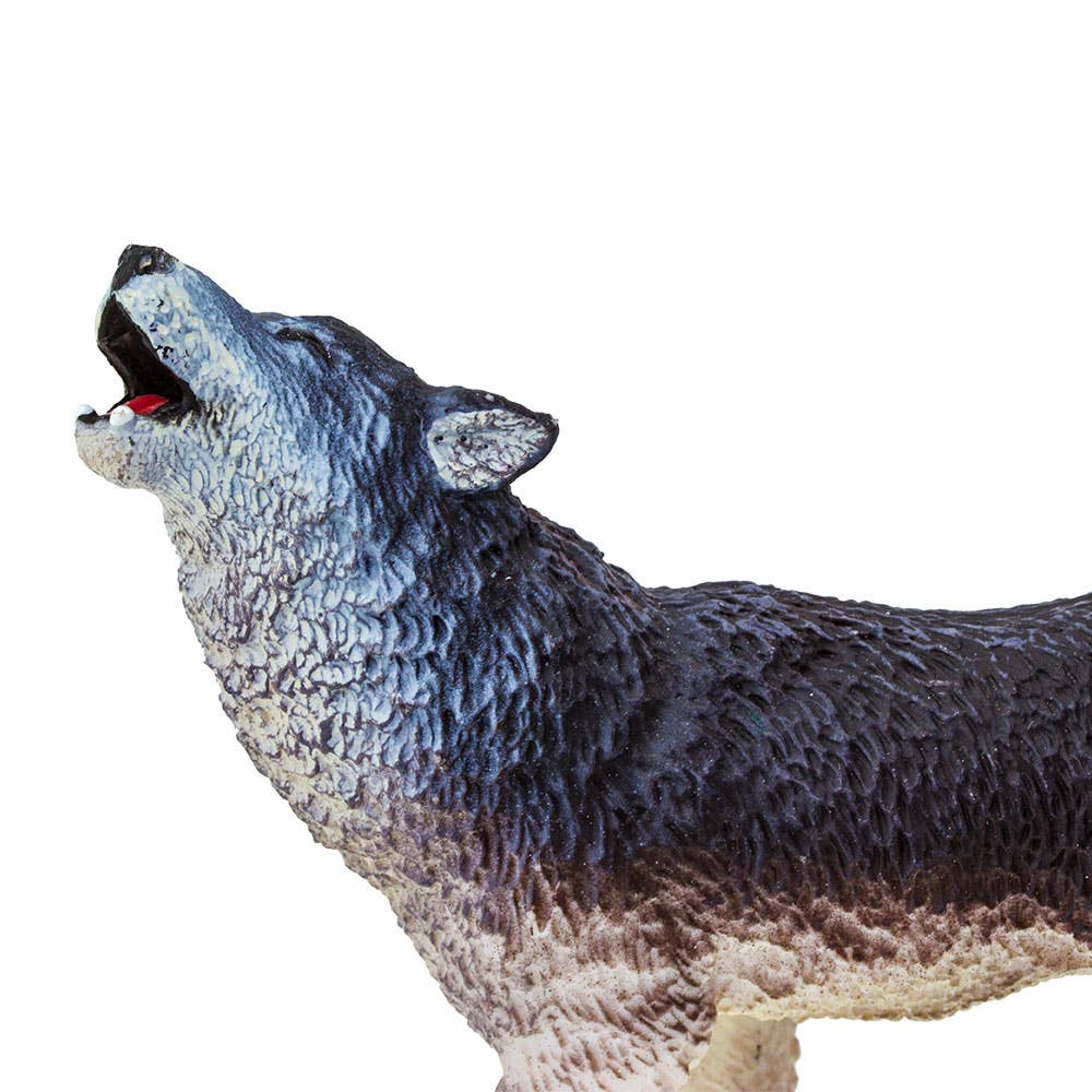 Howling Gray Wolf