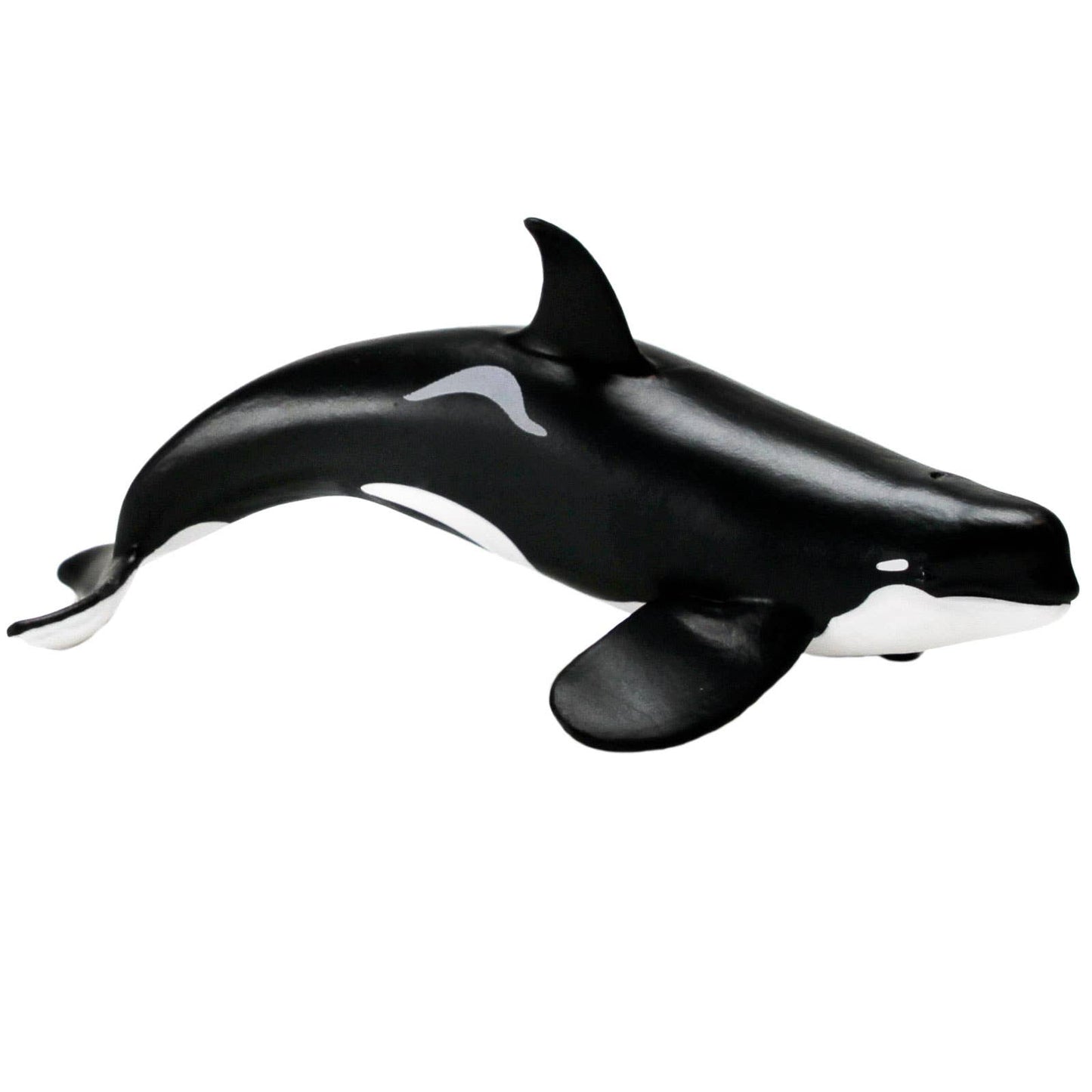 Orca
