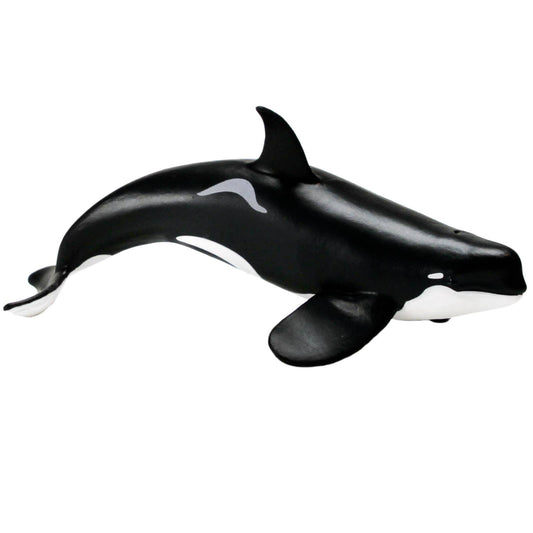 Orca
