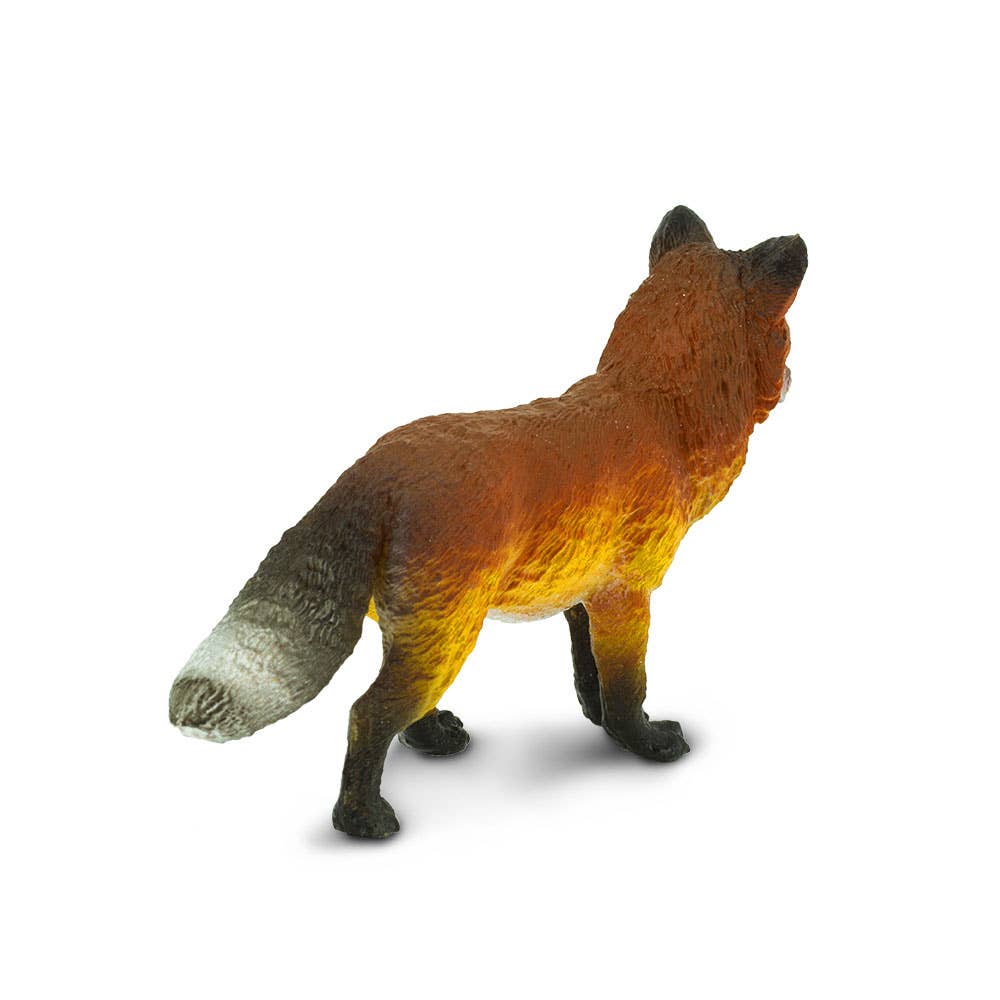 Fox