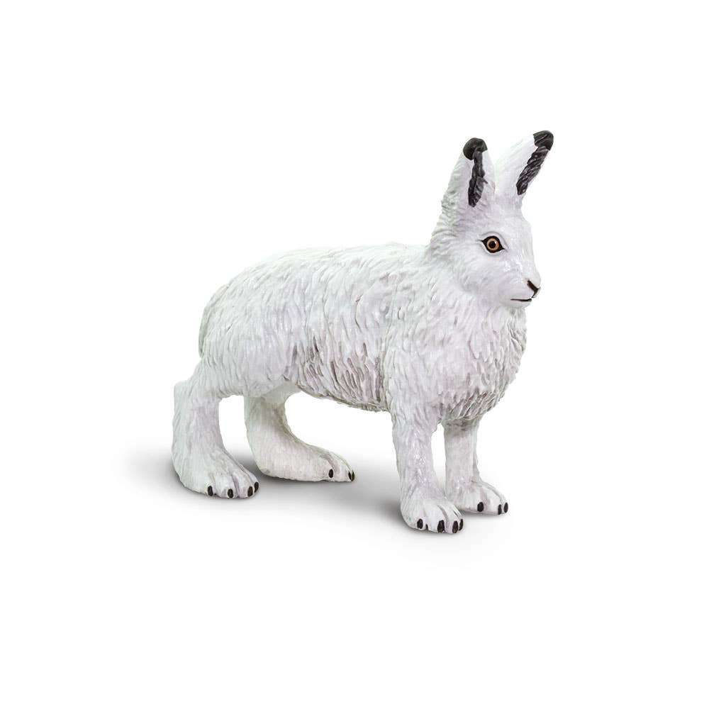 Arctic Hare