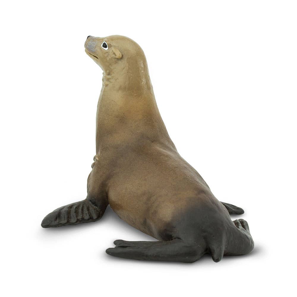 Sea Lion