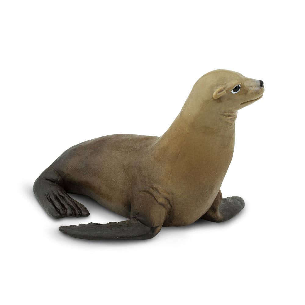 Sea Lion