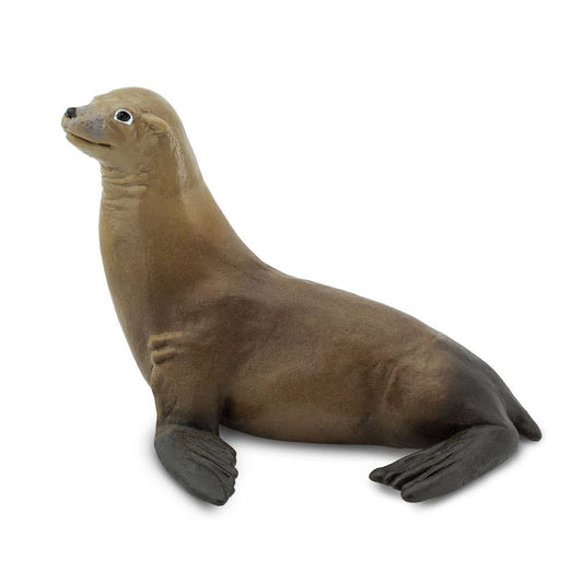 Sea Lion