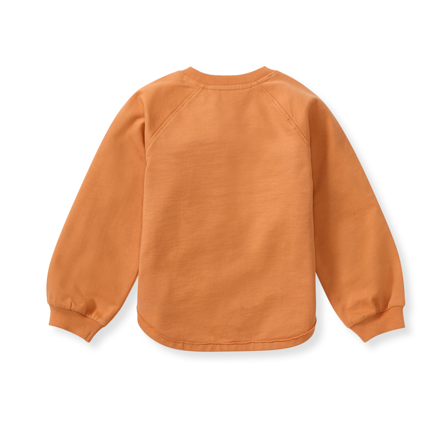 Organic Cotton Sweatshirt | Burt's Bees Baby | Pumpkin