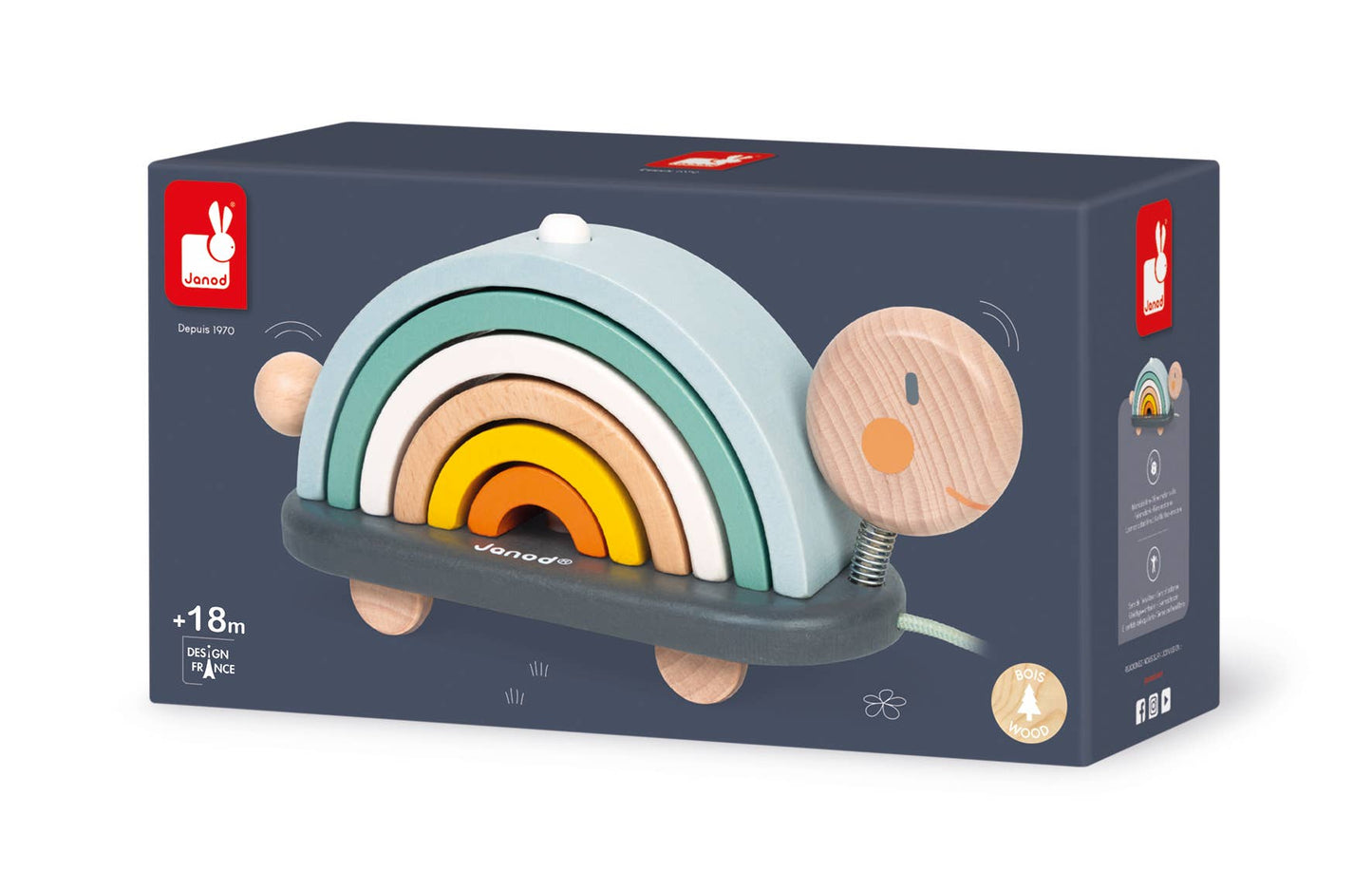 Rainbow Turtle by Janod