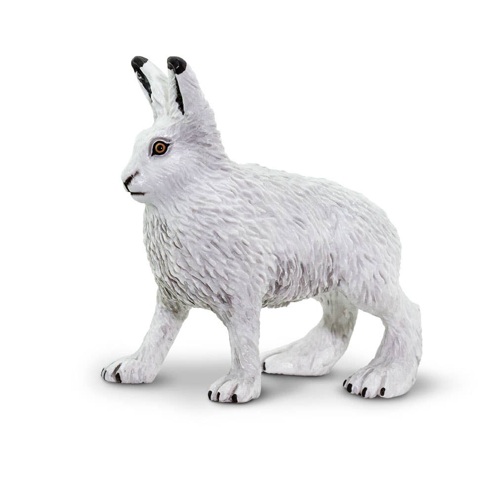 Arctic Hare