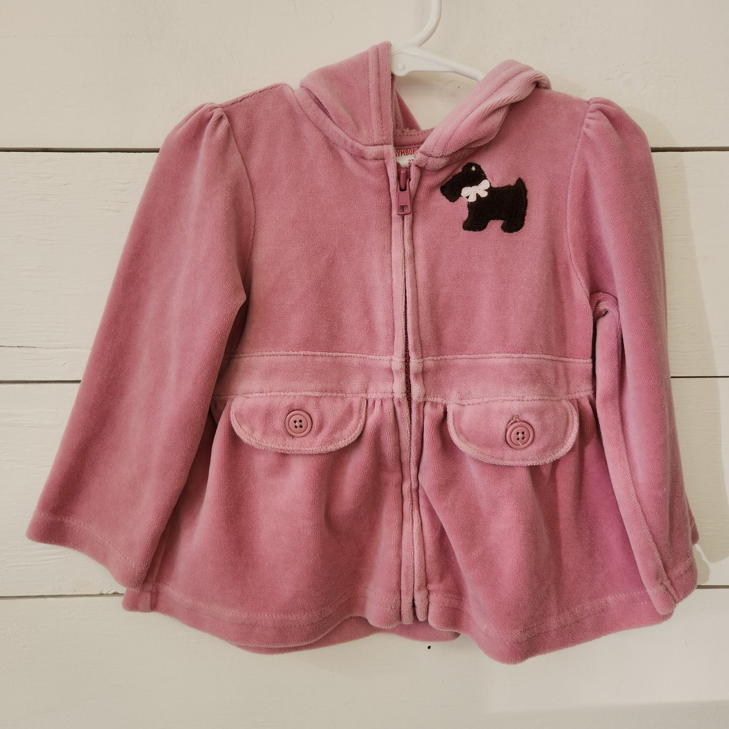 Size 2t | Gymboree velvety Zip Up sweater | Secondhand