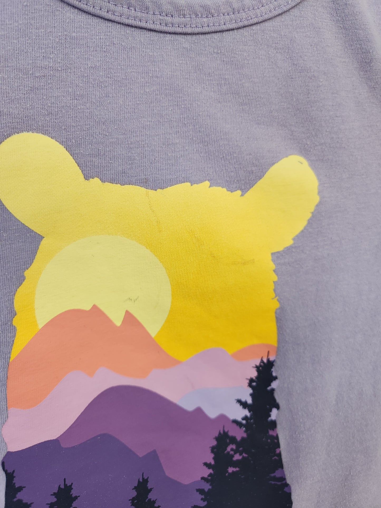 Size 10-12 | Eddie Bauer Bear Shirt *stain