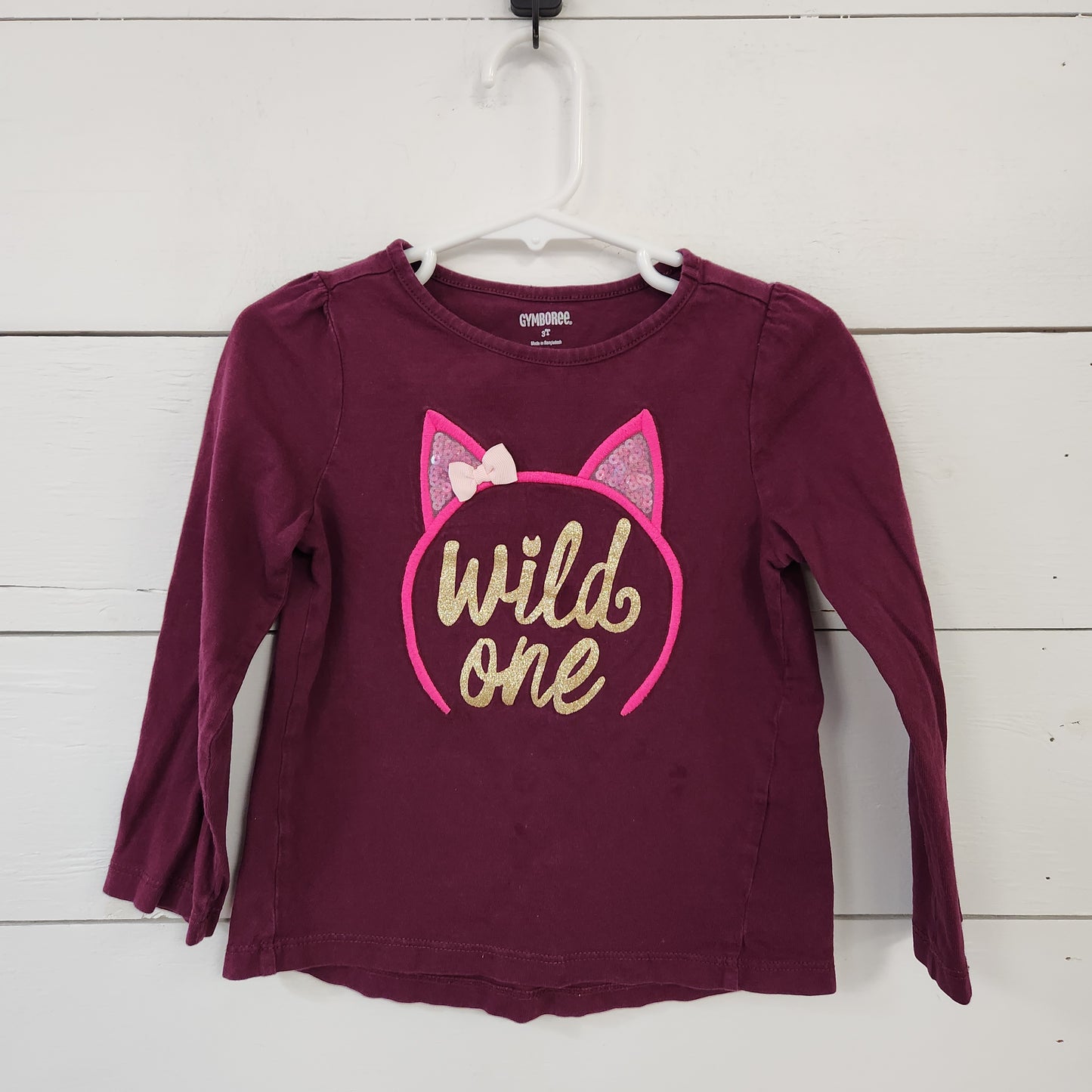 Size 3t | Gymboree Wild One Longsleeve *stains