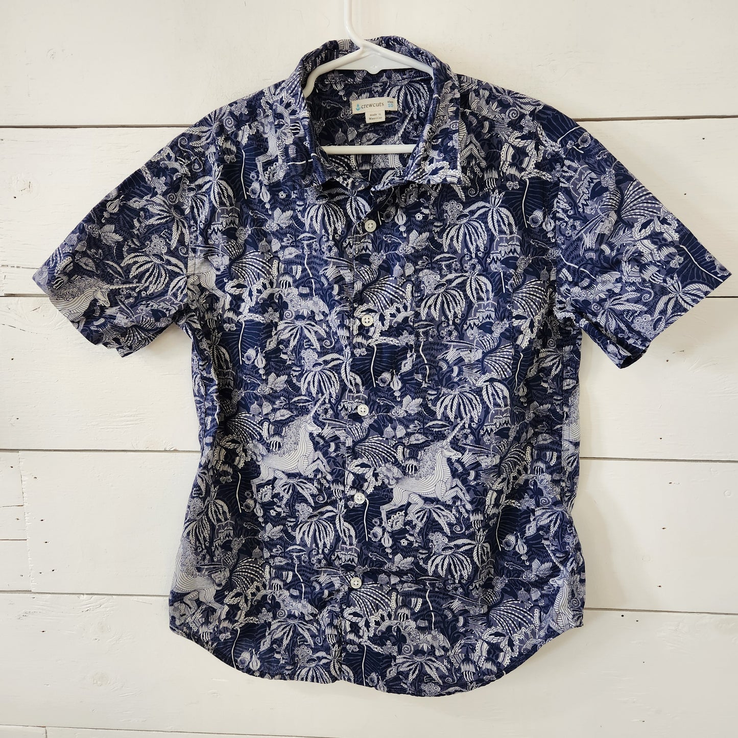 Size 10 | Crewcuts Button Down