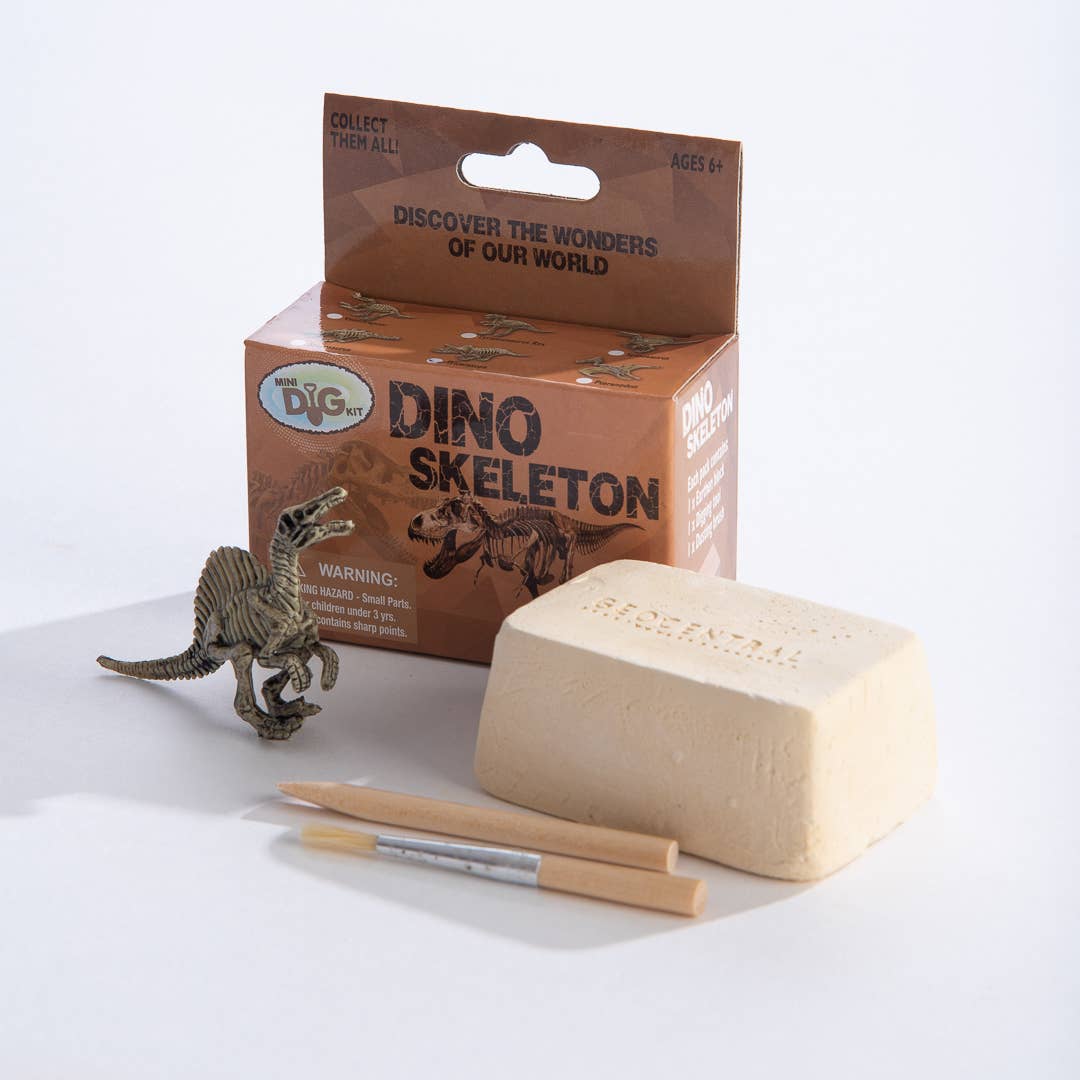 Mini Excavation Kit by Geo Central | Dino Skeletons