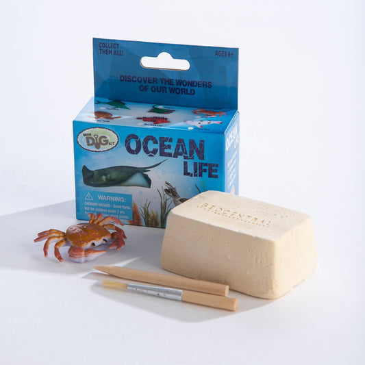 Mini Excavation Kit by Geo Central | Ocean Life
