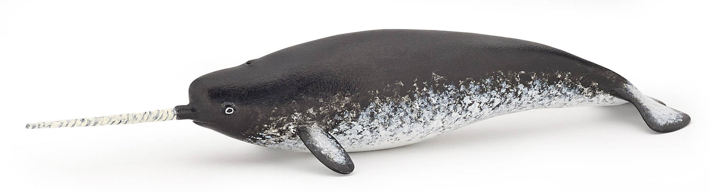 Narwhal