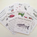 Learning Cards by Tiny Nest Studio | Salmon Life Cycle