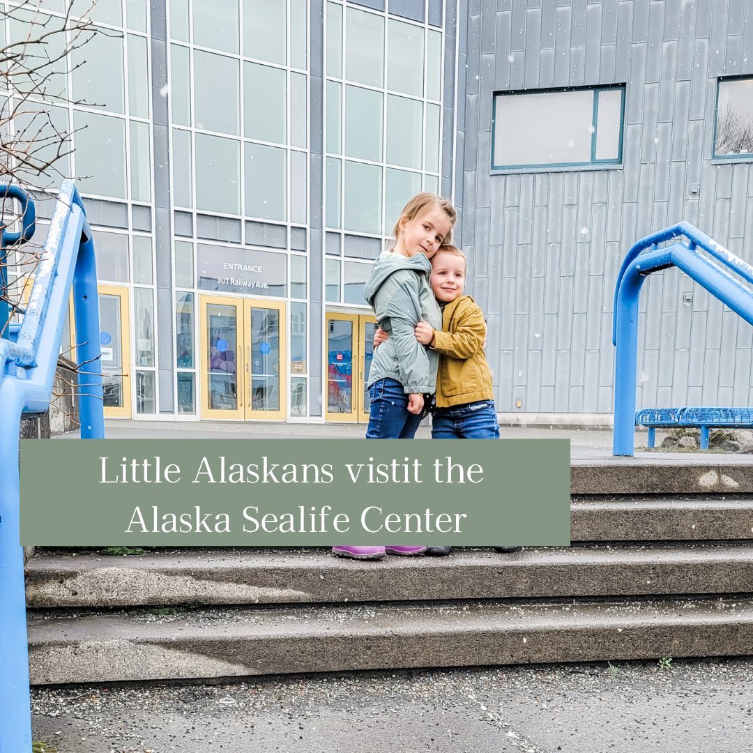 Visiting the Alaska Sealife Center