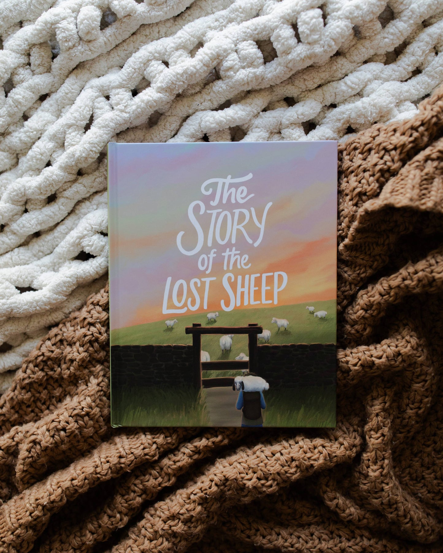 The Story of the Lost Sheep  by The Daily Grace Co