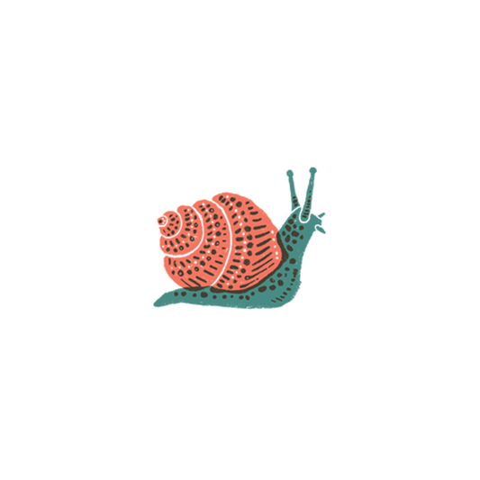 Tattly - Snail Tattoo Pair