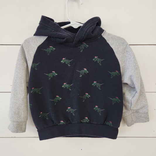 Size 24m | Free Planet Hoodie | Secondhand