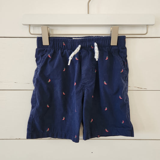 Size 4t | Free Planet Shorts
