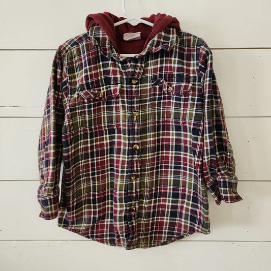 Size 4t | Crazy 8 Hooded Buttondown