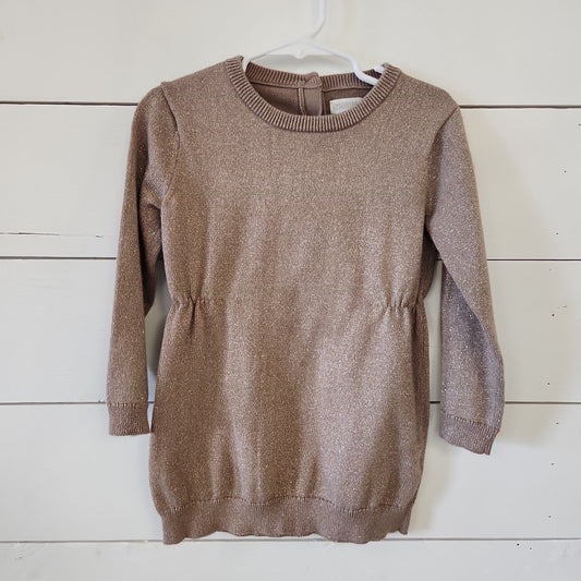 Size 3t | Gymboree Sweater Dress