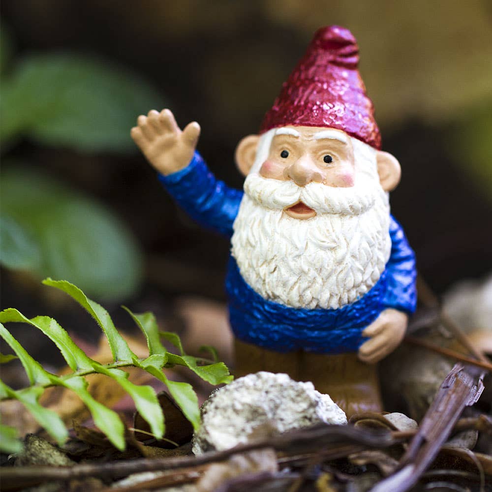 Gnorman the Gnome
