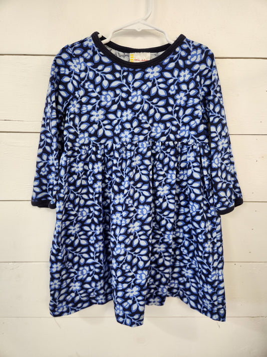 Size 90(3t) | Hanna Andersson Dress