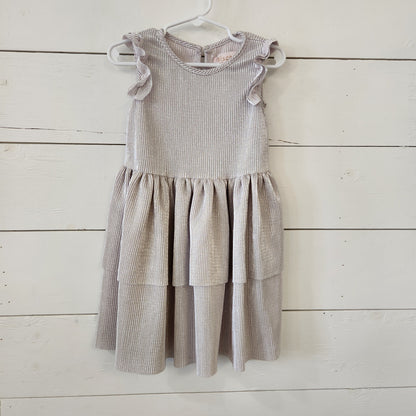 Size 4t | Biscotti Collection Dress