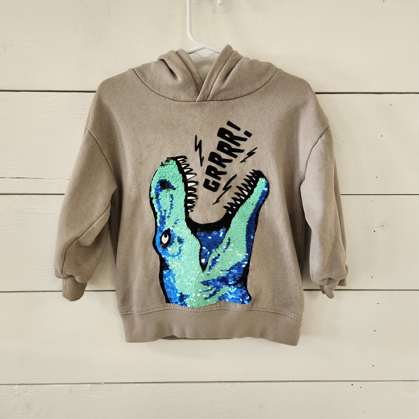 Size 4t | H&M Dino Sweatshirt