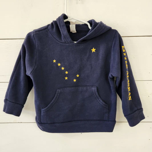 Size 3t | Little Alaskan Blue Flag Hoodie