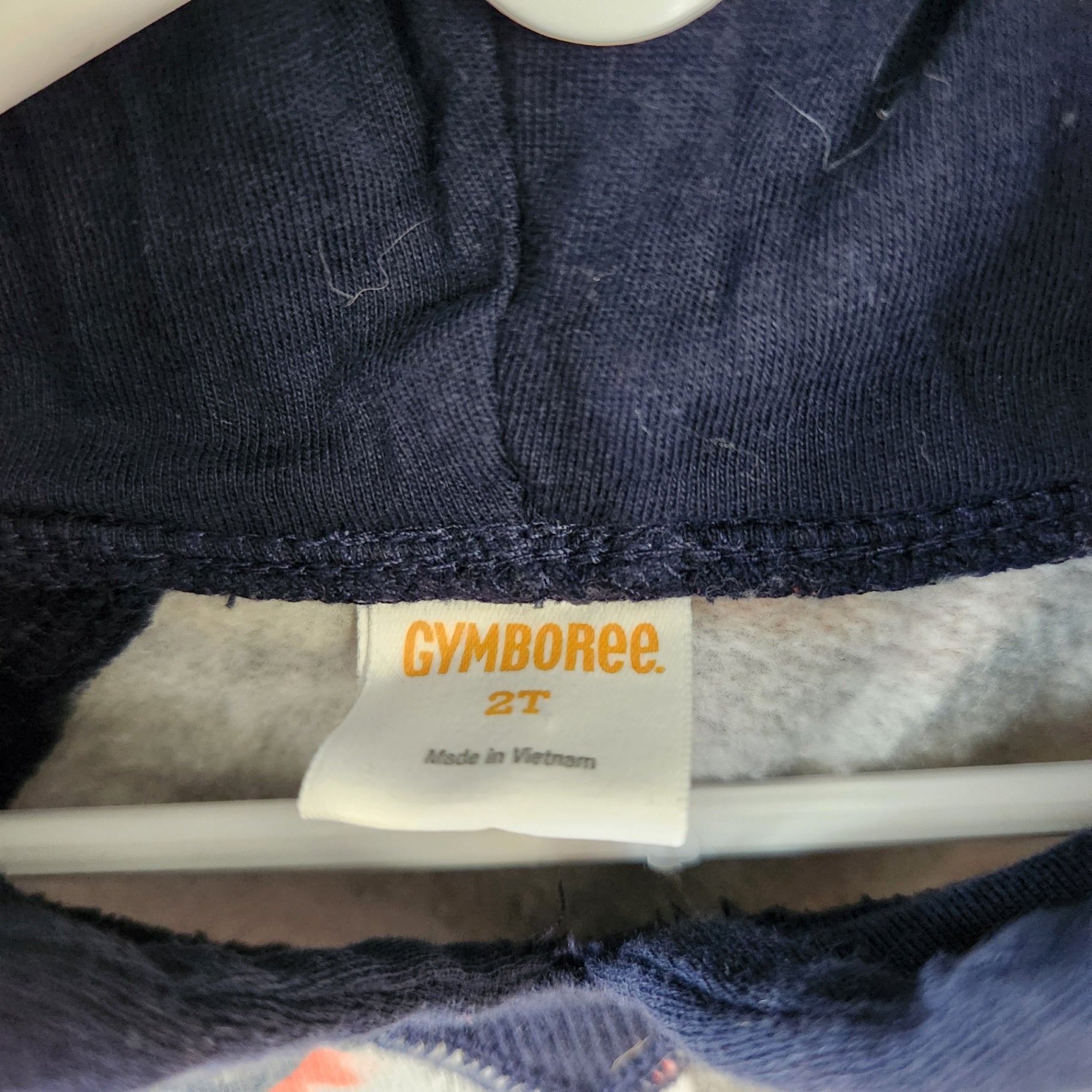 Size 2t | GYMBOREE Kids' Dino Hoodie | UBNUU