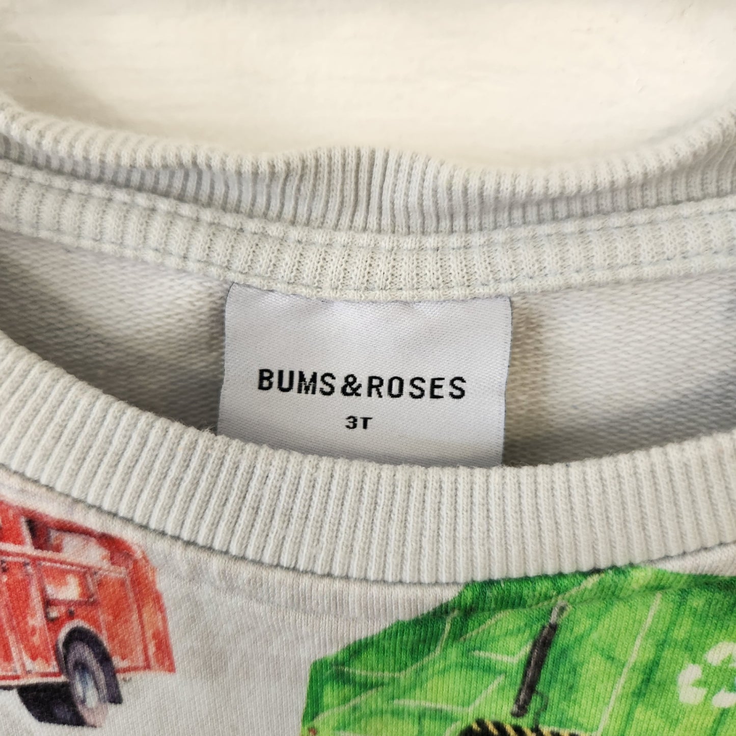 Size 3T | BUMS & ROSES Kids' Sweatshirt | UBNUU