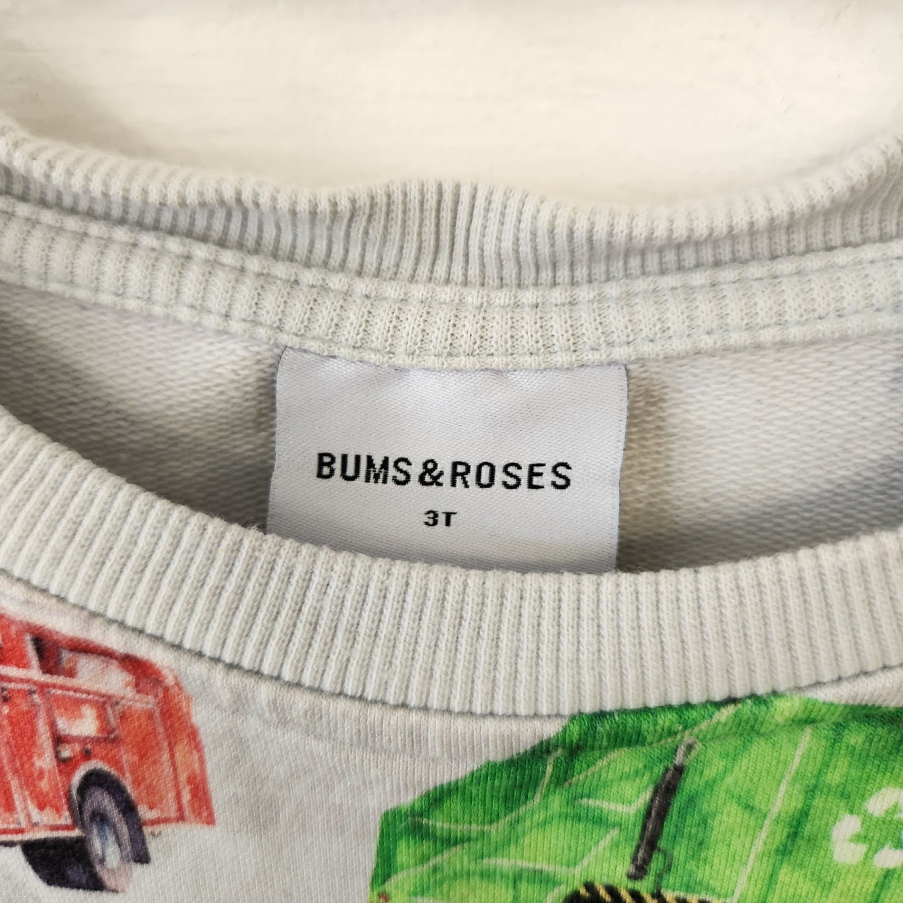 Size 3T | BUMS & ROSES Kids' Sweatshirt | UBNUU