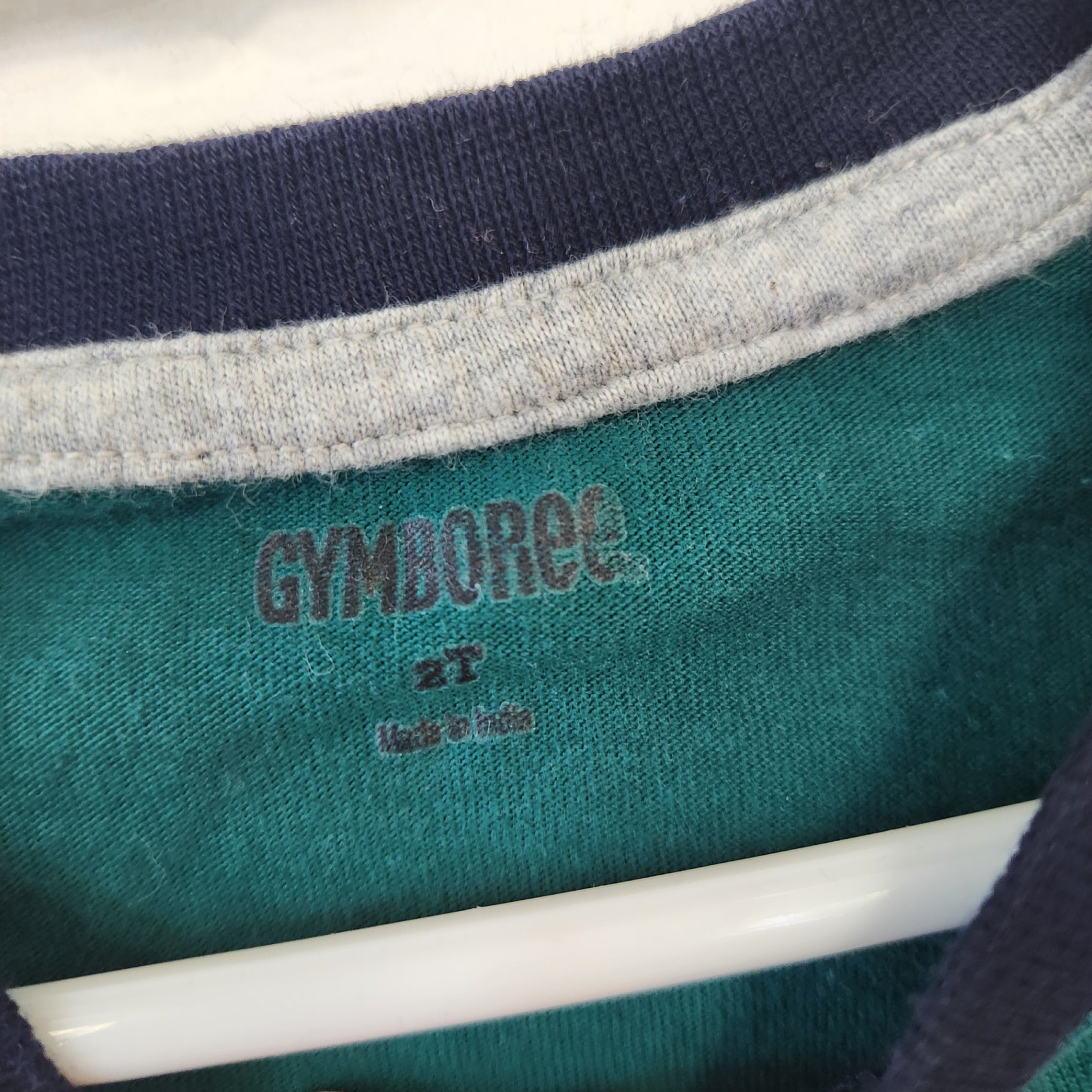 Size 2T | GYMBOREE Kids' Shirt | UBNUU
