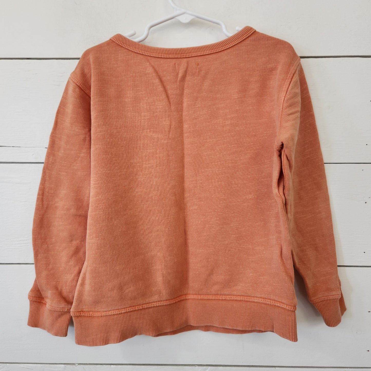 Size 3T | Gymboree Kids' Sweatshirt | UBNUU