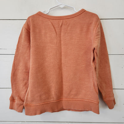 Size 3T | Gymboree Kids' Sweatshirt | UBNUU