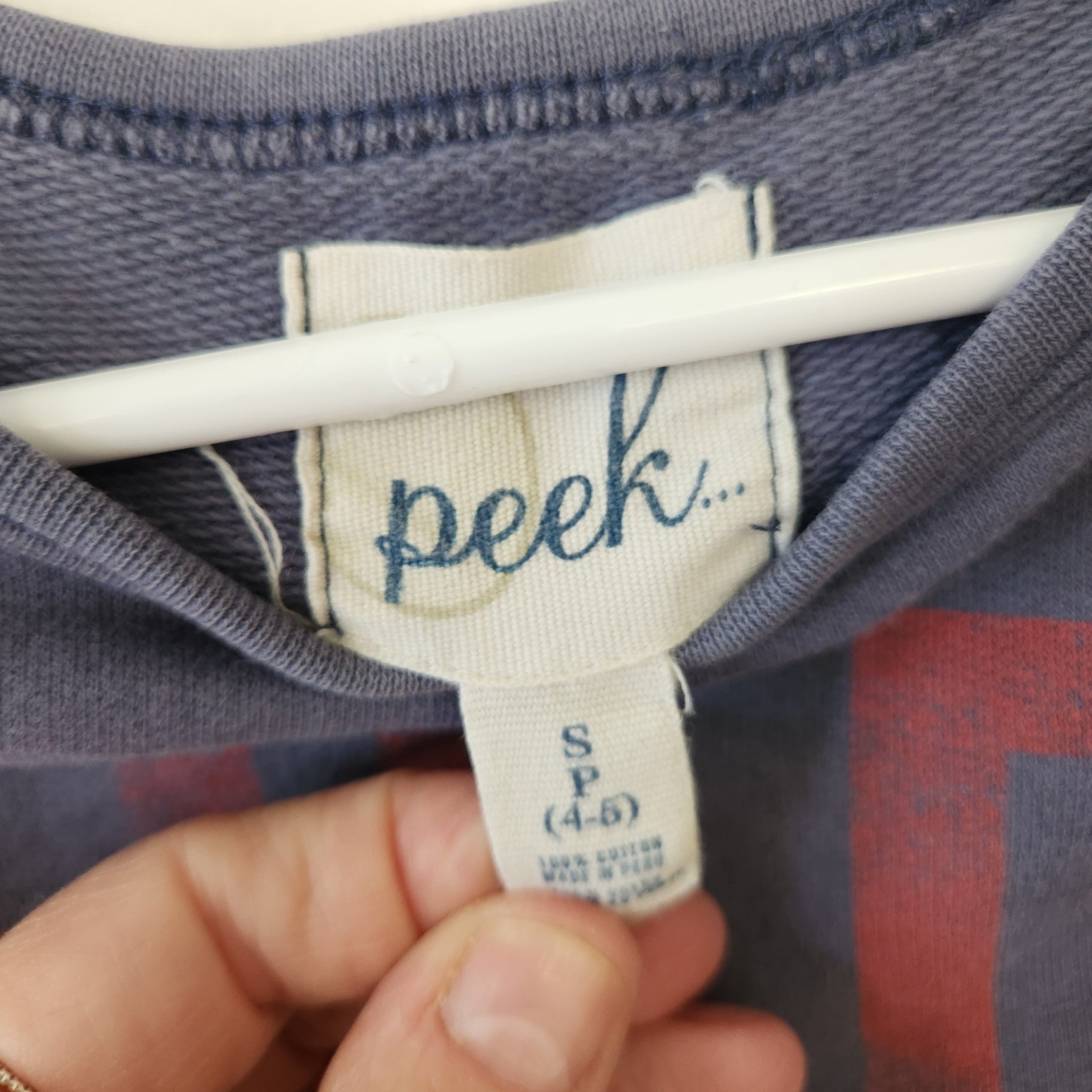 Size 4-5 | peek... Kids' Sweatshirt | UBNUU