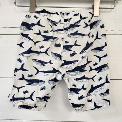 Size 2/3 | H&M Kids' Swim trunks | UBNUU