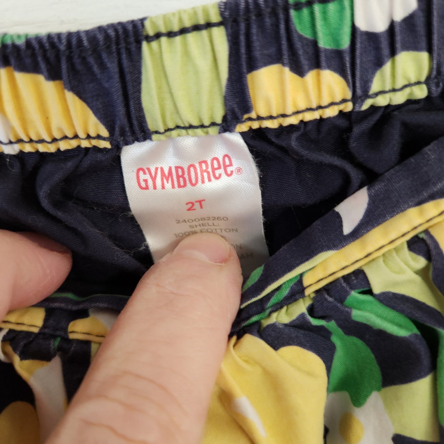 Size 2T | GYMBOREE Kids' Shorts | UBNUU