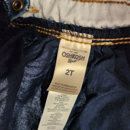 Size 2T | OshKosh B'gosh Kids' Dress | UBNUU