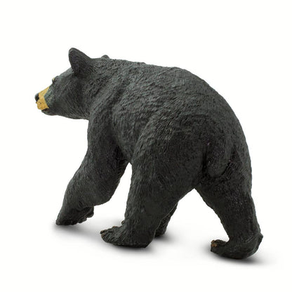 Black Bear