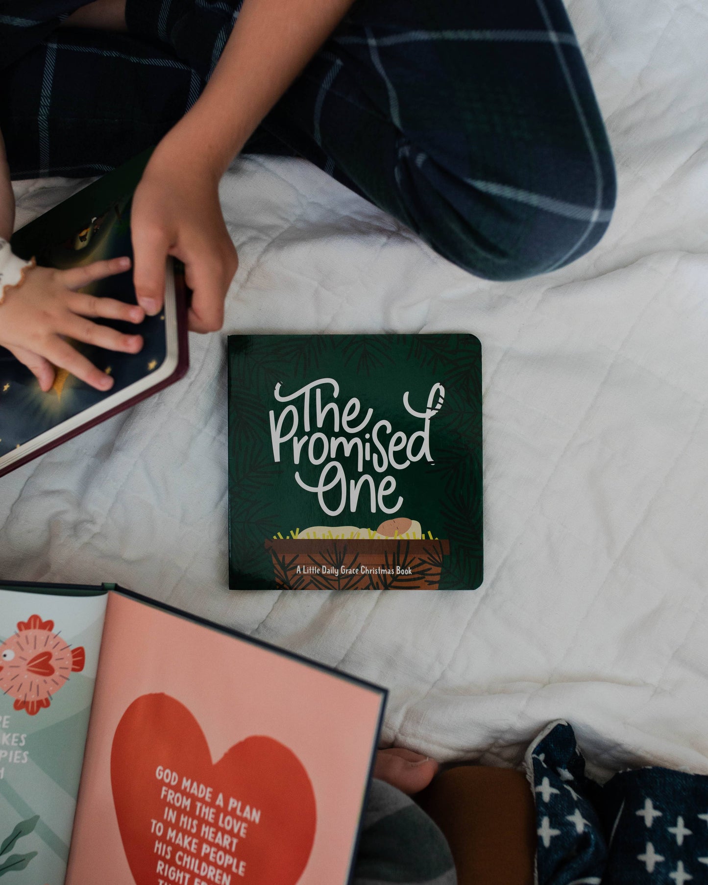 The Promised One by The Daily Grace Co