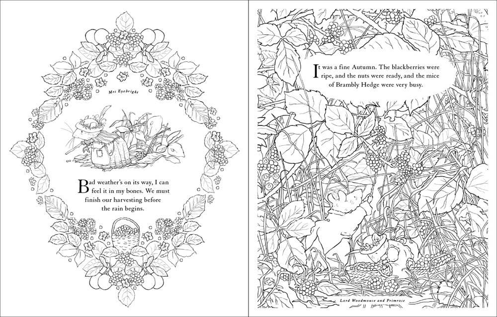 Brambly Hedge: Festive Coloring Book | Jill Barklem