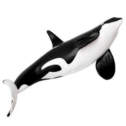 Orca